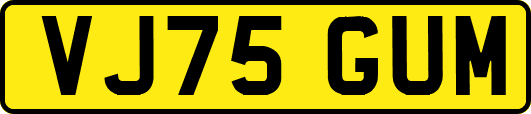 VJ75GUM