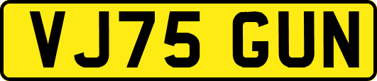 VJ75GUN