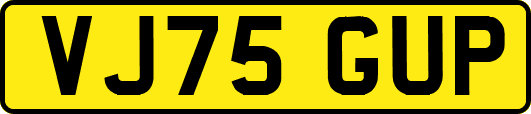 VJ75GUP