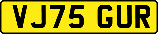 VJ75GUR