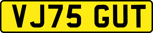 VJ75GUT