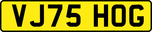 VJ75HOG