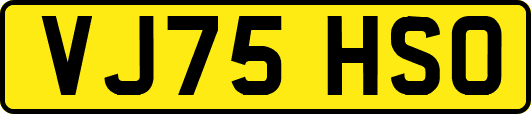 VJ75HSO