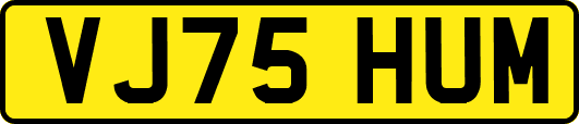 VJ75HUM