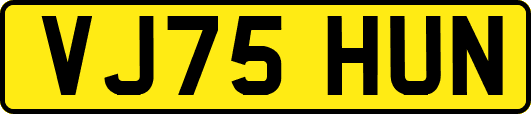 VJ75HUN