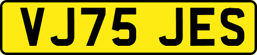 VJ75JES