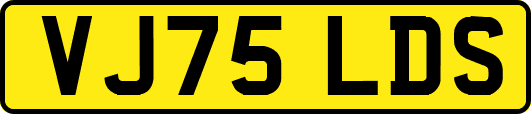 VJ75LDS