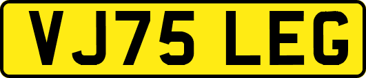 VJ75LEG