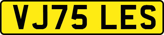VJ75LES