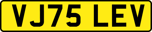 VJ75LEV