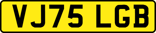 VJ75LGB