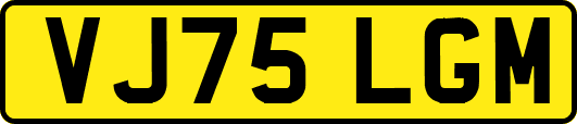 VJ75LGM