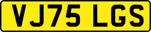 VJ75LGS