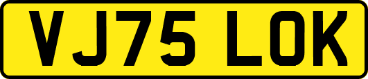 VJ75LOK
