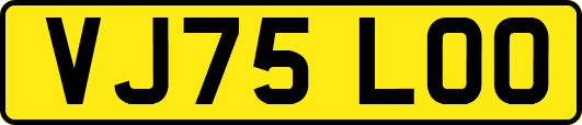 VJ75LOO