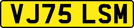 VJ75LSM