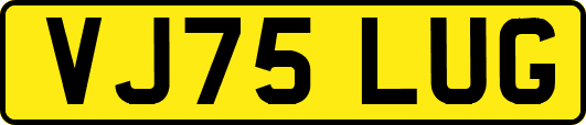 VJ75LUG