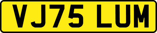 VJ75LUM