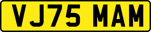 VJ75MAM
