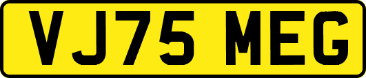 VJ75MEG