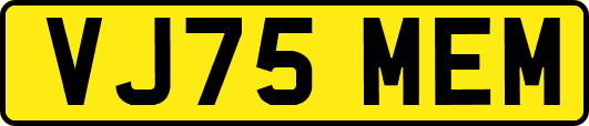 VJ75MEM