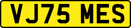 VJ75MES