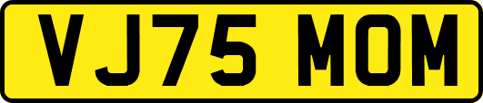 VJ75MOM