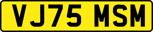 VJ75MSM