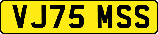 VJ75MSS