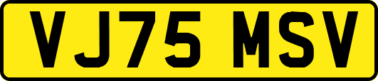 VJ75MSV