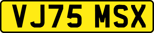 VJ75MSX
