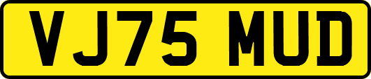 VJ75MUD