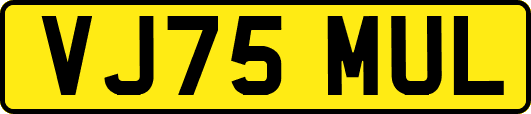 VJ75MUL