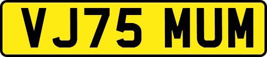 VJ75MUM