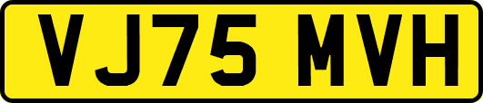VJ75MVH