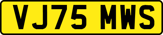 VJ75MWS