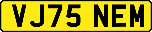 VJ75NEM