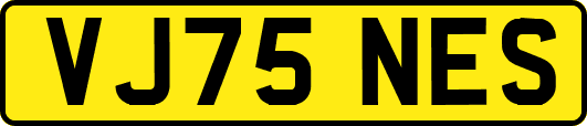 VJ75NES