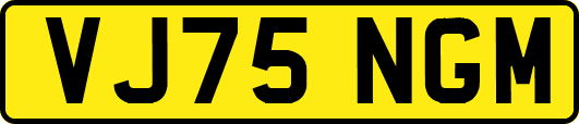 VJ75NGM