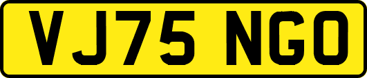 VJ75NGO