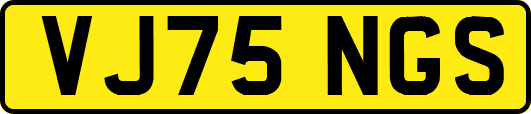 VJ75NGS