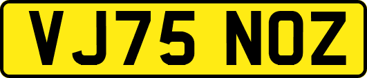 VJ75NOZ