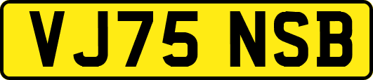 VJ75NSB