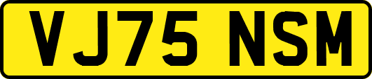 VJ75NSM