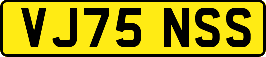 VJ75NSS
