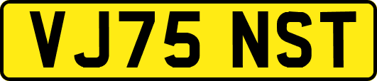 VJ75NST