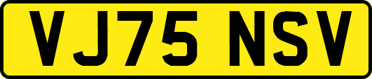 VJ75NSV