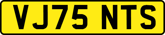 VJ75NTS