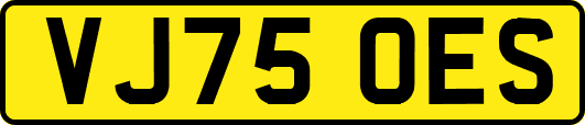VJ75OES