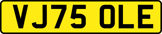 VJ75OLE